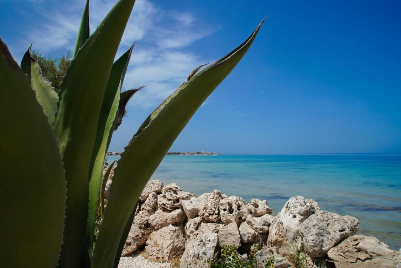 Aurelia Sea View Bed and Breakfast Torre Canne Eksteriør billede