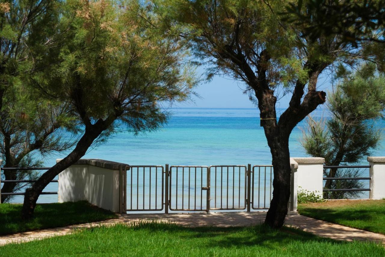 Aurelia Sea View Bed and Breakfast Torre Canne Eksteriør billede